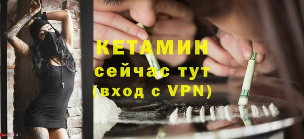 трава Тавда