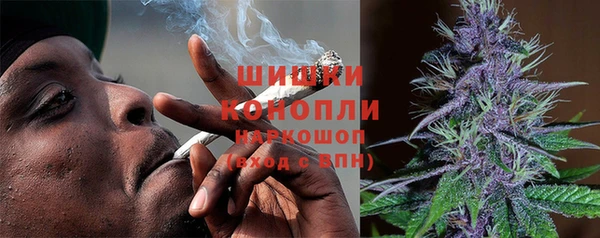 молекула духа Заводоуковск