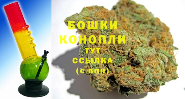 спайс Гусев