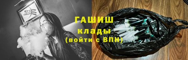 дмт Тайга