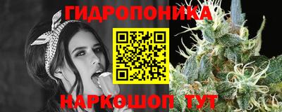 прущие грибы Волжский
