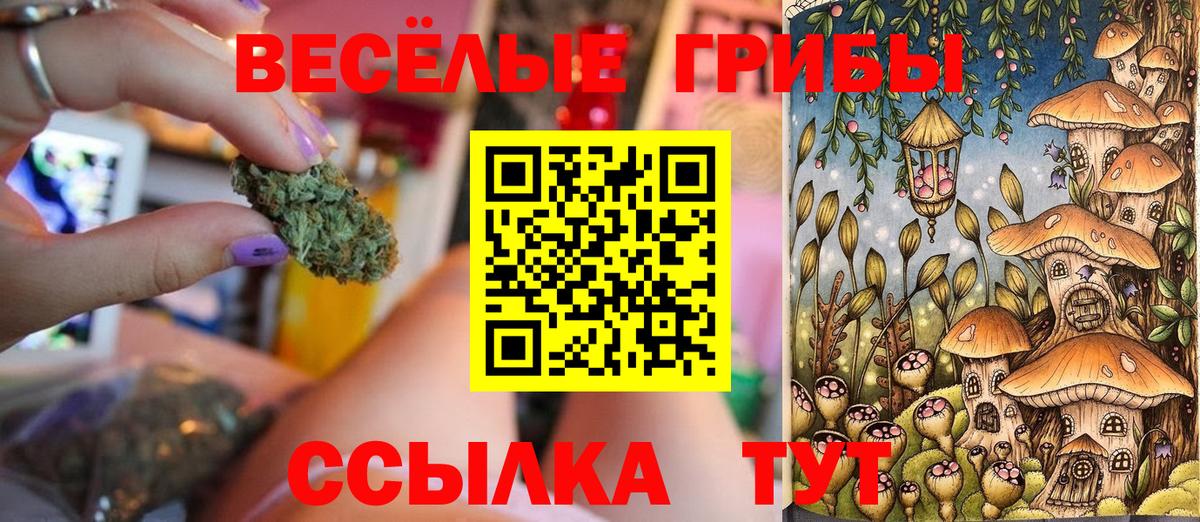 Псилоцибиновые грибы мицелий  Вход с VPN  сколько стоит  Ессентуки 