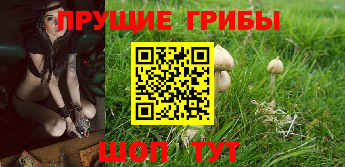 Псилоцибиновые грибы мухоморы  Псилоцибиновые грибы мицелий  Ессентуки 