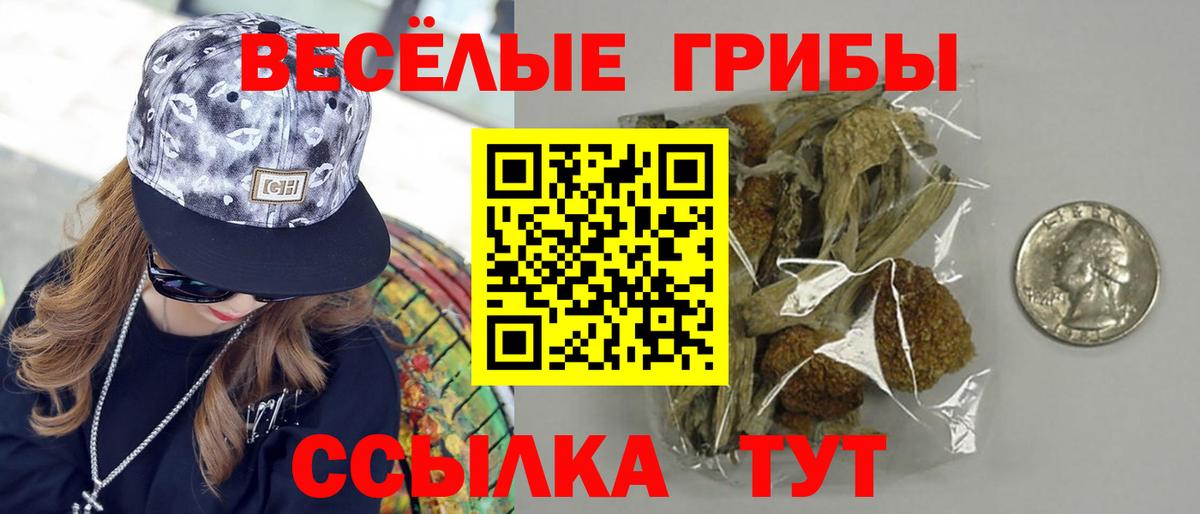 Псилоцибиновые грибы прущие грибы Ессентуки