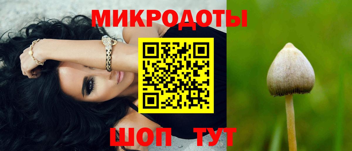 Галлюциногенные грибы прущие грибы Ессентуки