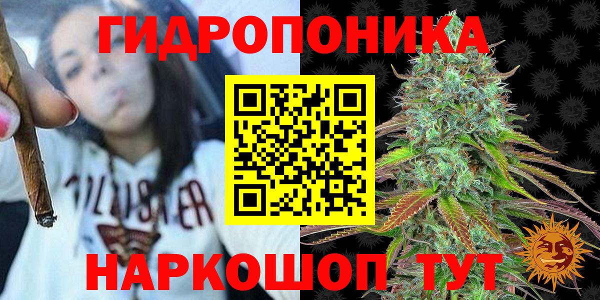 Шишки марихуана AK-47  Марихуана MAZAR  Ессентуки  Конопля White Widow 