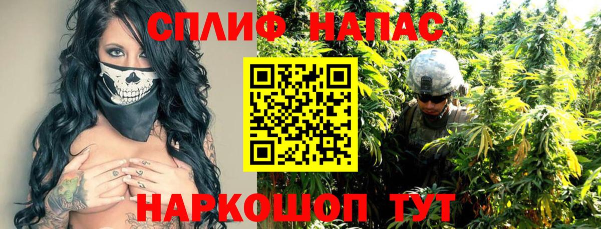 Канабис гибрид Ессентуки